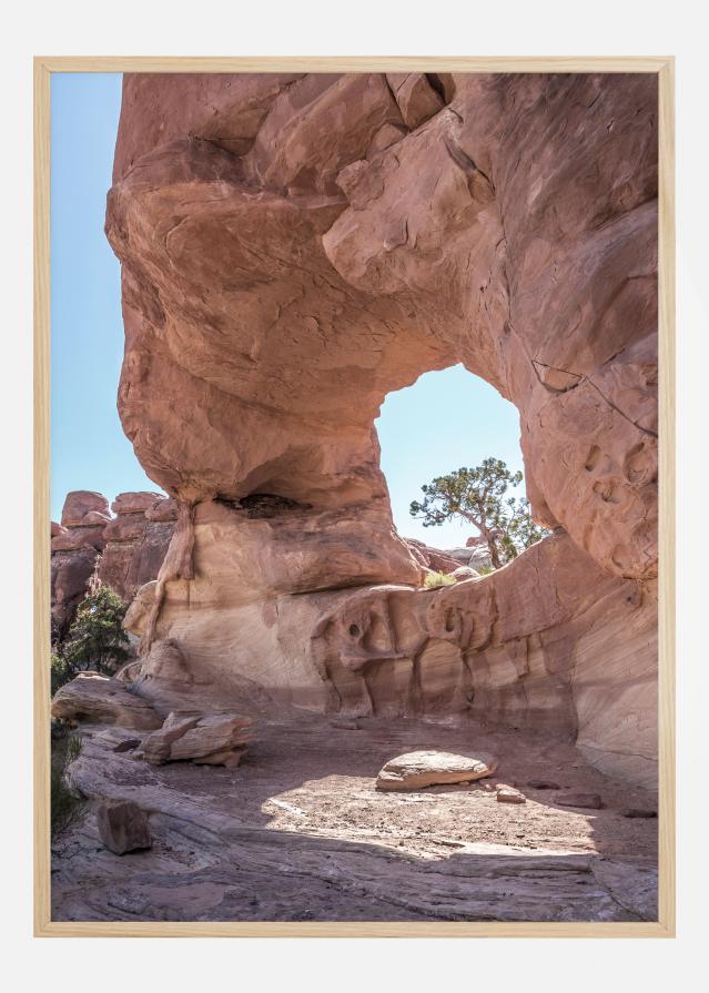 In The Desert Juliste