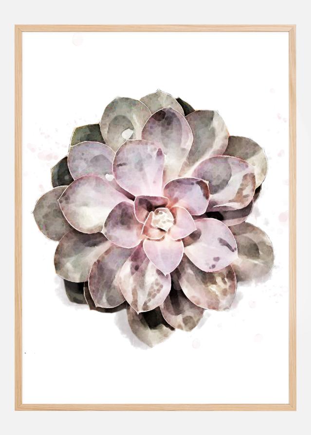 Succulent Juliste