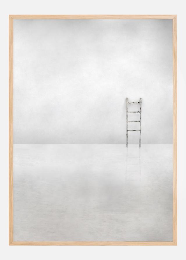 The social ladder Juliste