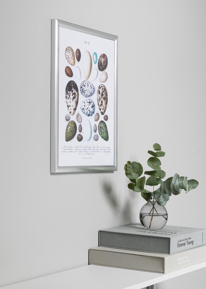 Kehys Trendstyle Hopeanvärinen 20x30 cm