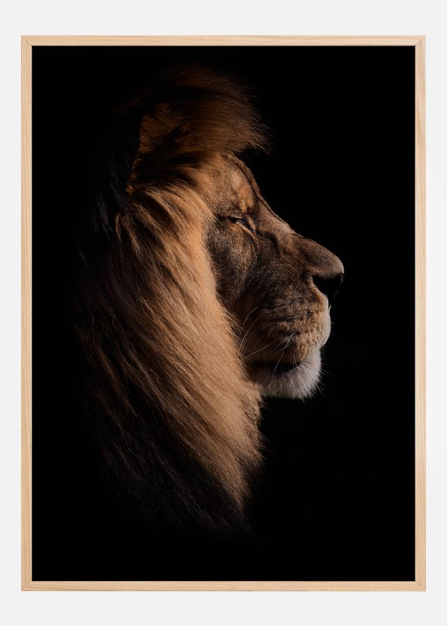 Sleeping King Juliste