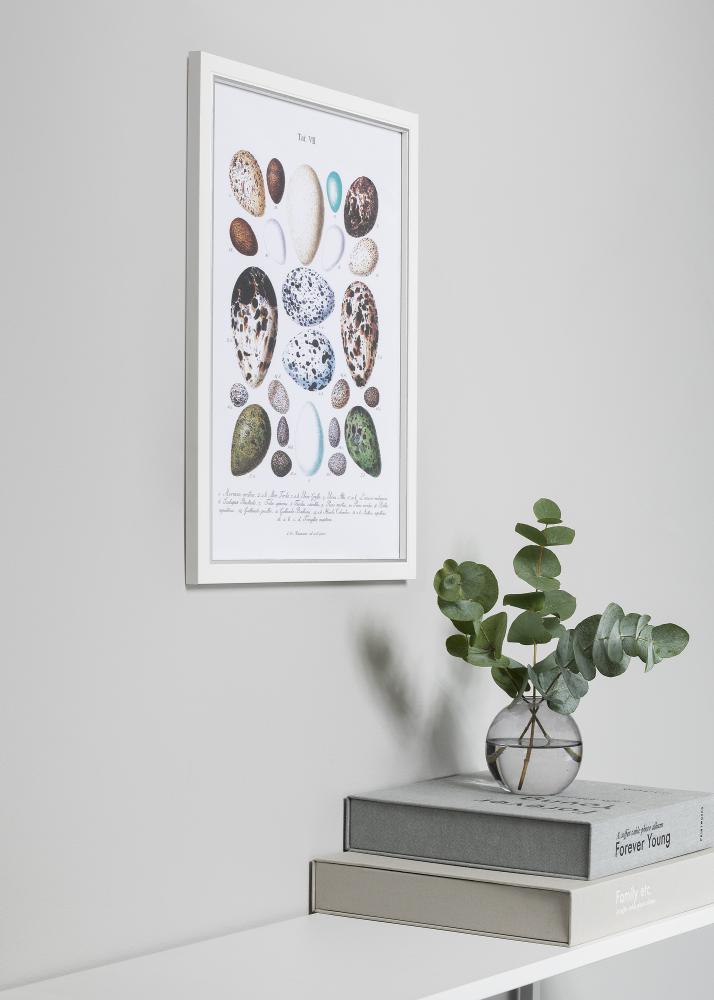 Kehys Twist Valkoinen 10x15 cm