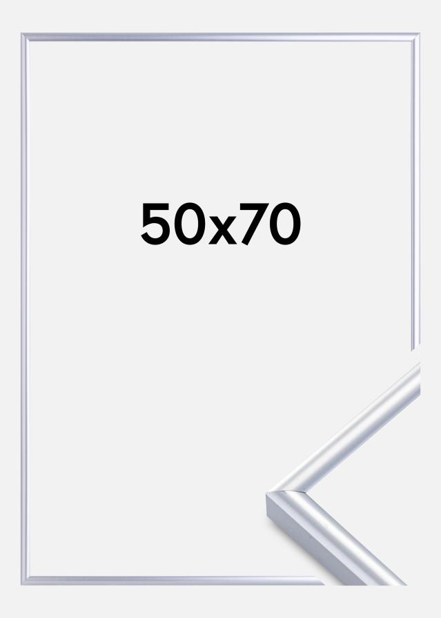 Kehys Victoria Akryylilasi Hopeanvärinen 50x70 cm