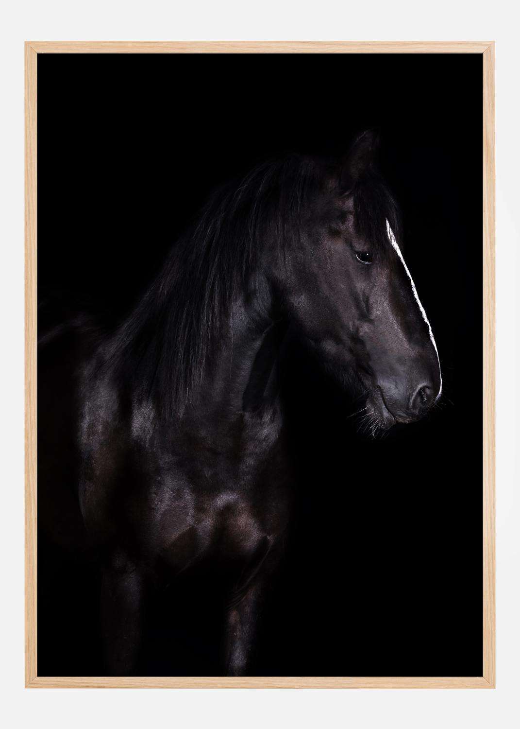 Product Image for Erika Juliste (50x70 cm)