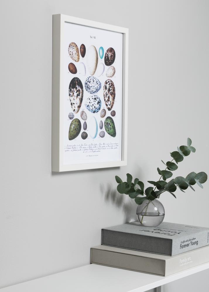 Kehys Vivaldi Valkoinen 20x30 cm