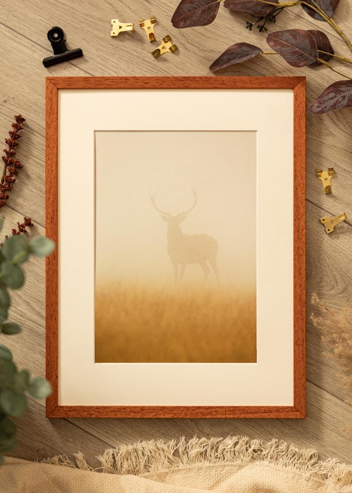 Kehys Ares Akryylilasi Kirsikka 30x45 cm