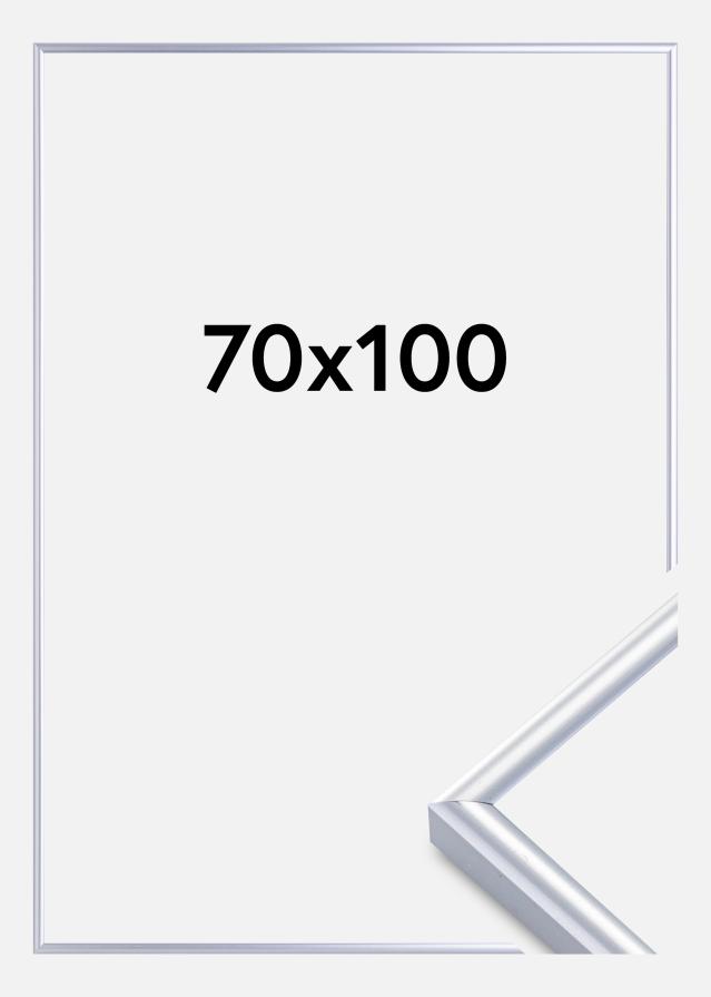 Kehys Victoria Akryylilasi Hopeanvärinen 70x100 cm