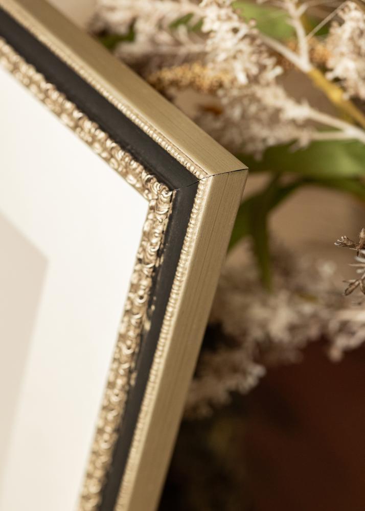 Kehys Drottningholm Hopeanvärinen II