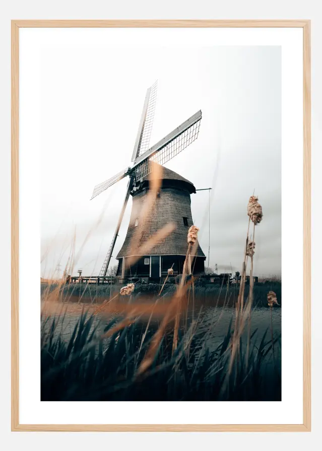 Dutch Windmill Juliste