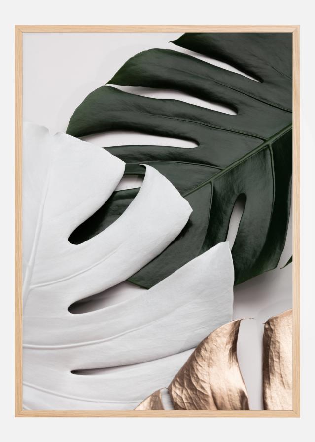 Monstera Colors Juliste