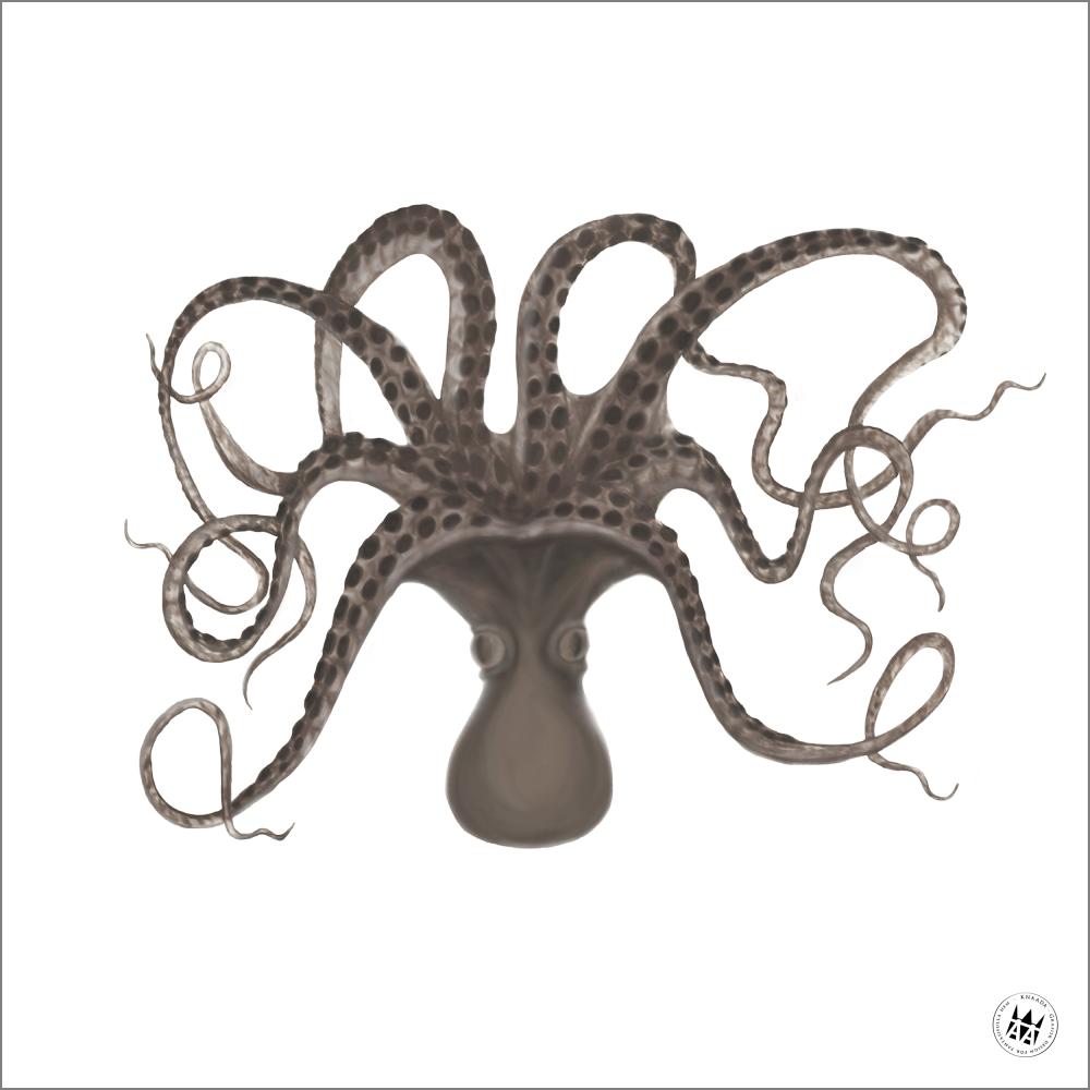 Knaada - Mustekala - 50x50 cm