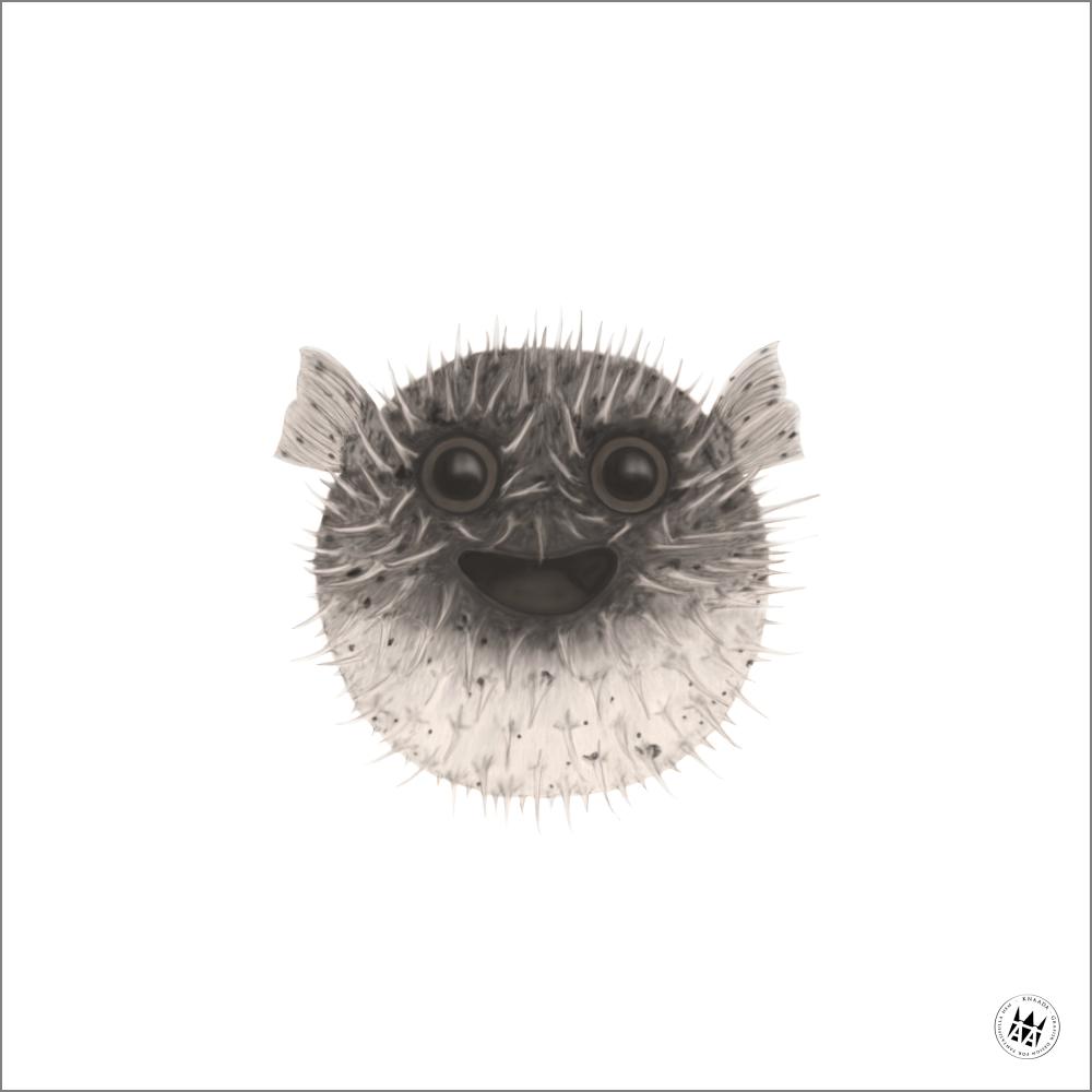 Knaada - Pallokala - 50x50 cm