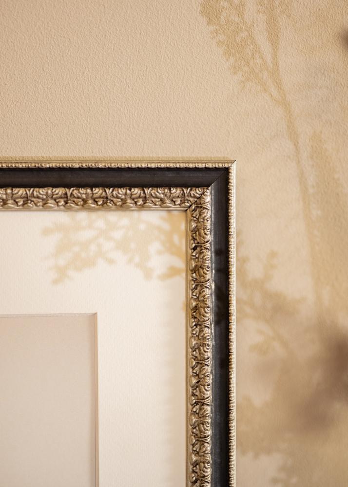 Kehys Drottningholm Hopeanvärinen II