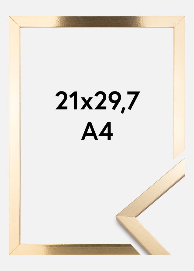Kehys Trendy Kullanvärinen 21x29,7 cm (A4)