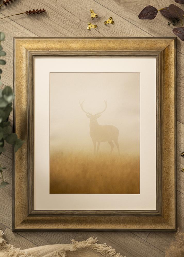 Kehys Belfast Tumma Hopea