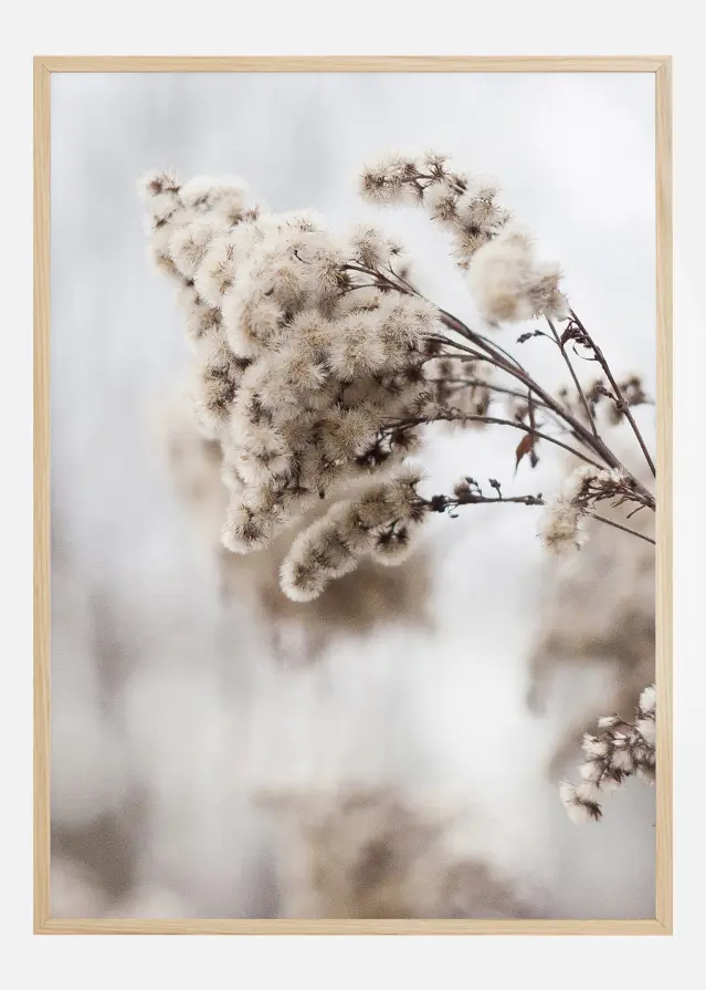 Winter Is Coming Juliste