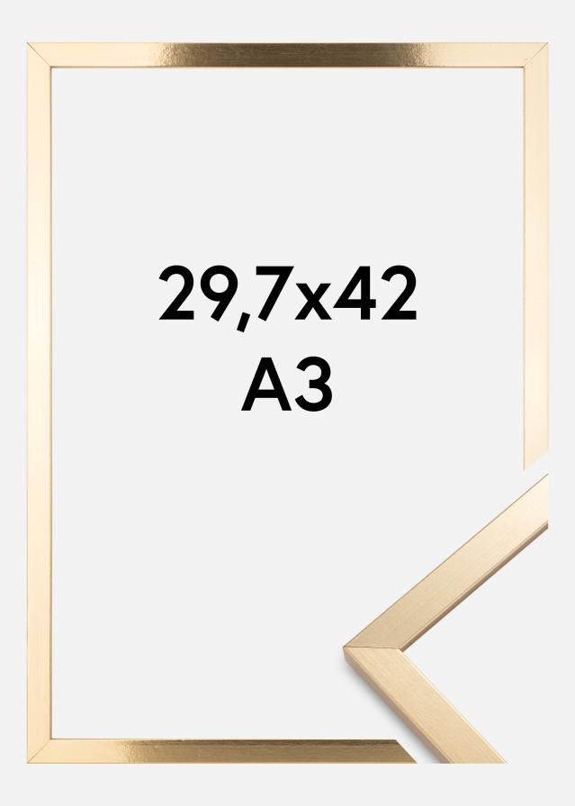 Kehys Trendy Kullanvärinen 29,7x42 cm (A3)
