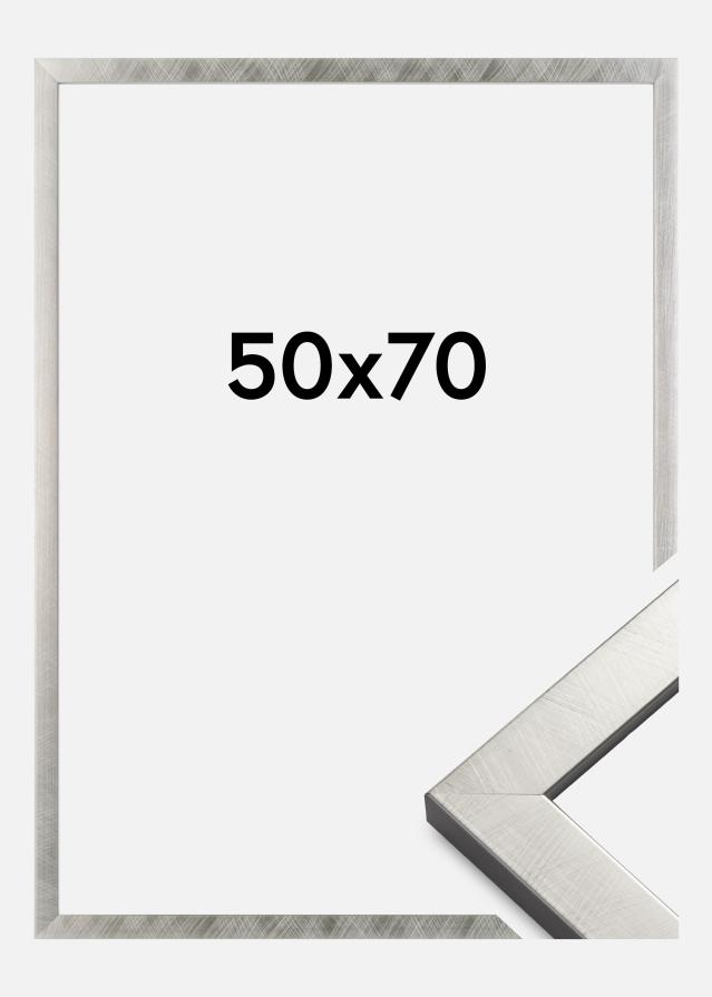 Kehys Uppsala Hopeanvärinen 50x70 cm
