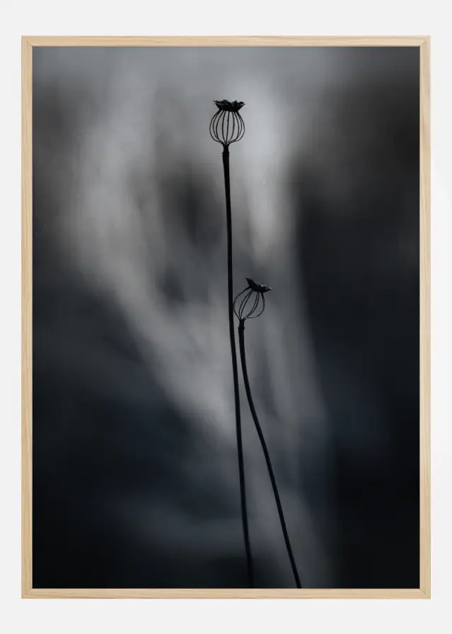 From Last Year Juliste