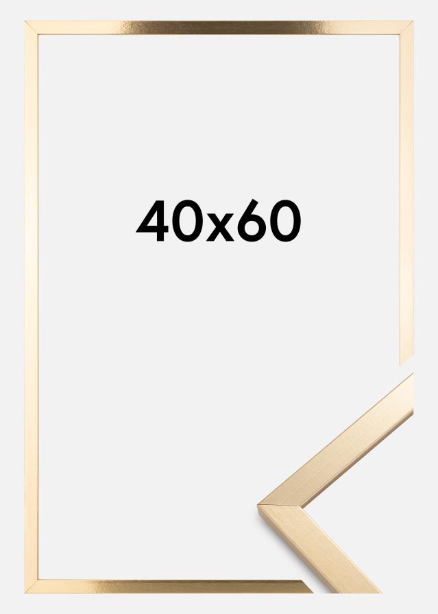 Kehys Trendy Kullanvärinen 40x60 cm