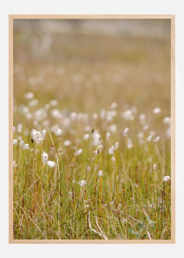 Summer Fileds Juliste