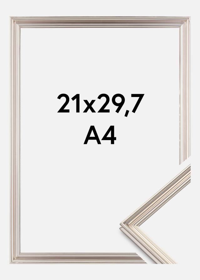 Kehys Verona Hopeanvärinen 21x29,7 cm (A4)