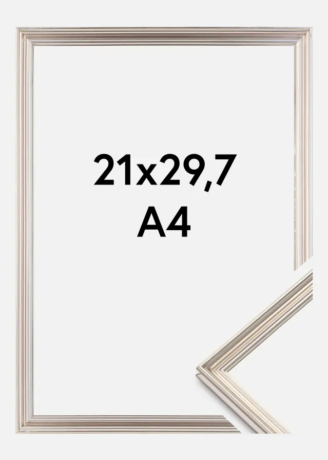 Kehys Verona Hopeanvärinen 21x29,7 cm (A4)