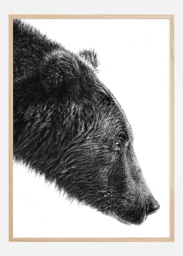 The Salmon Catcher Juliste