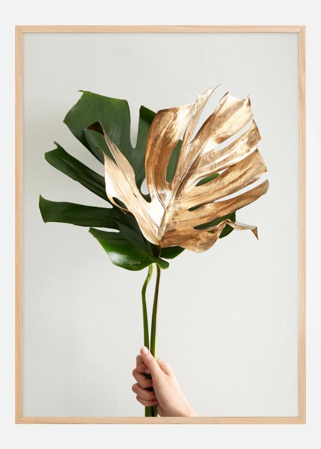 Golden monstera Juliste