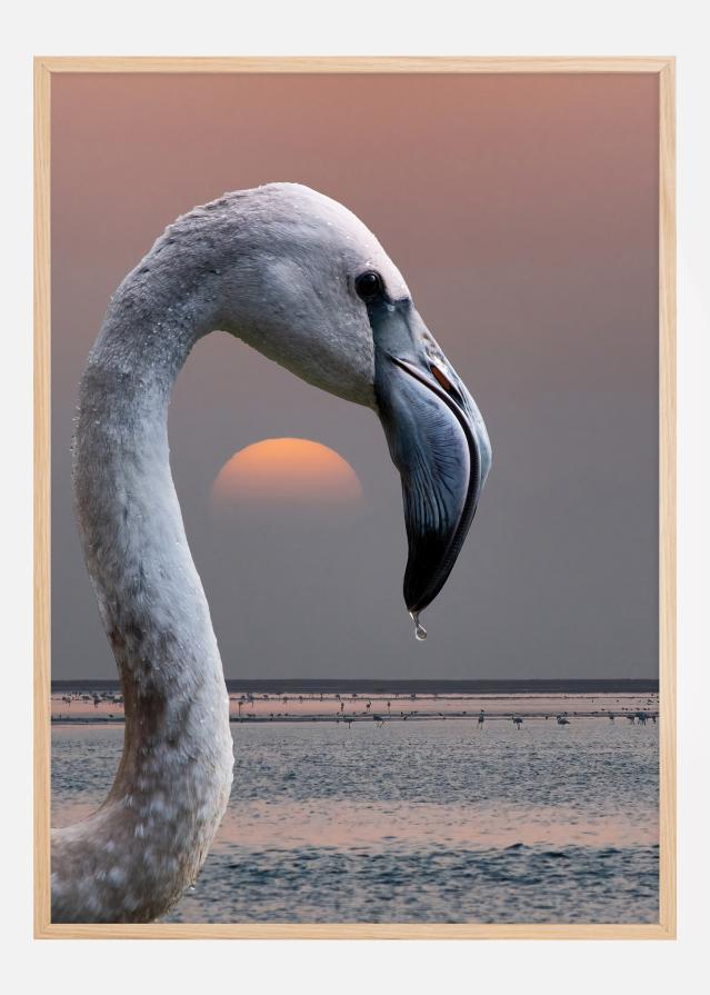 This is my world Juliste