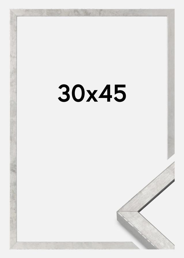 Kehys Ares Akryylilasi Hopea 30x45 cm
