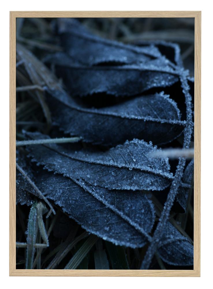 One Must Dash - Frost - 30x40 cm