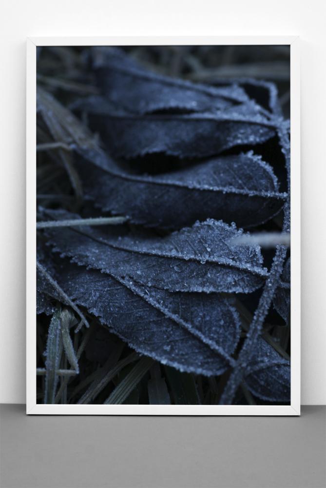 One Must Dash - Frost - 30x40 cm