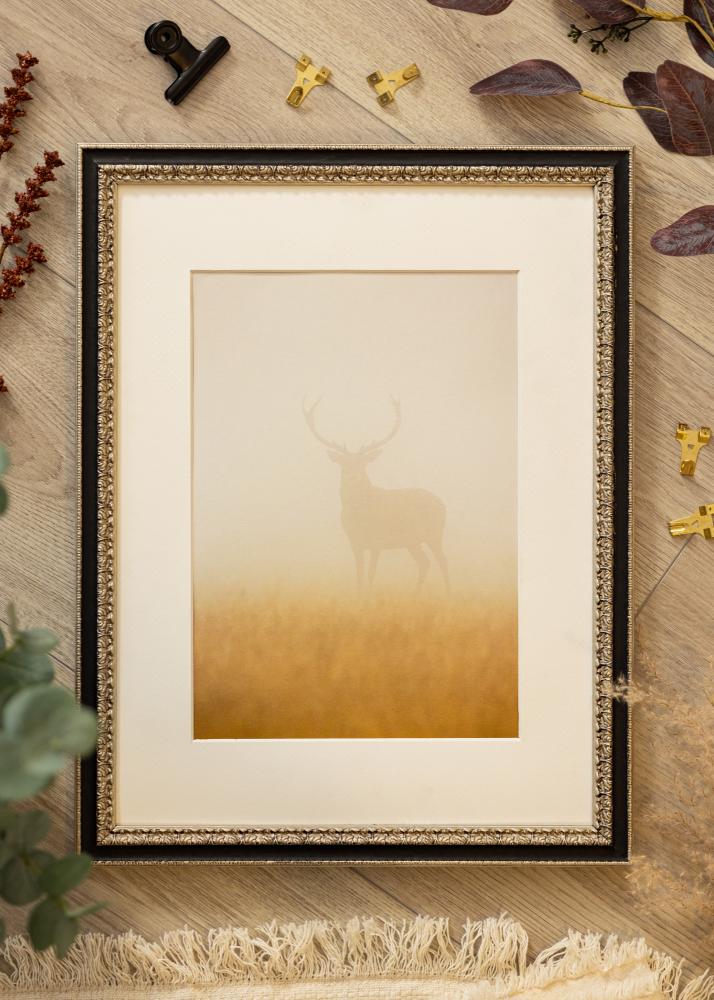 Kehys Drottningholm Hopeanvärinen II