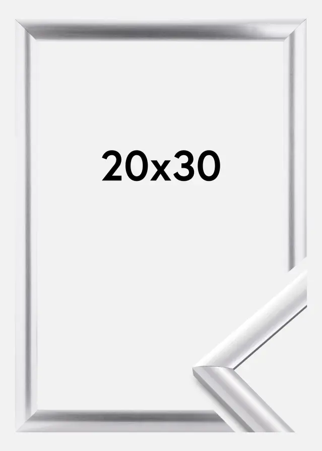 Kehys Trendstyle Hopeanvärinen 20x30 cm