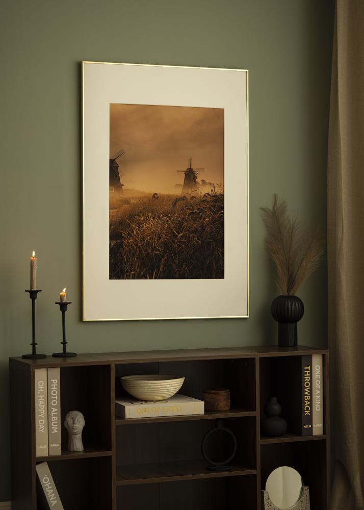 Kehys Visby Akryylilasi Kiiltävä Kullanvärinen 30x40 cm