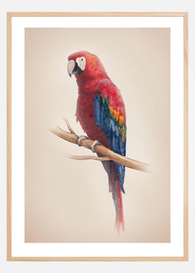 Tropical Parrot Juliste
