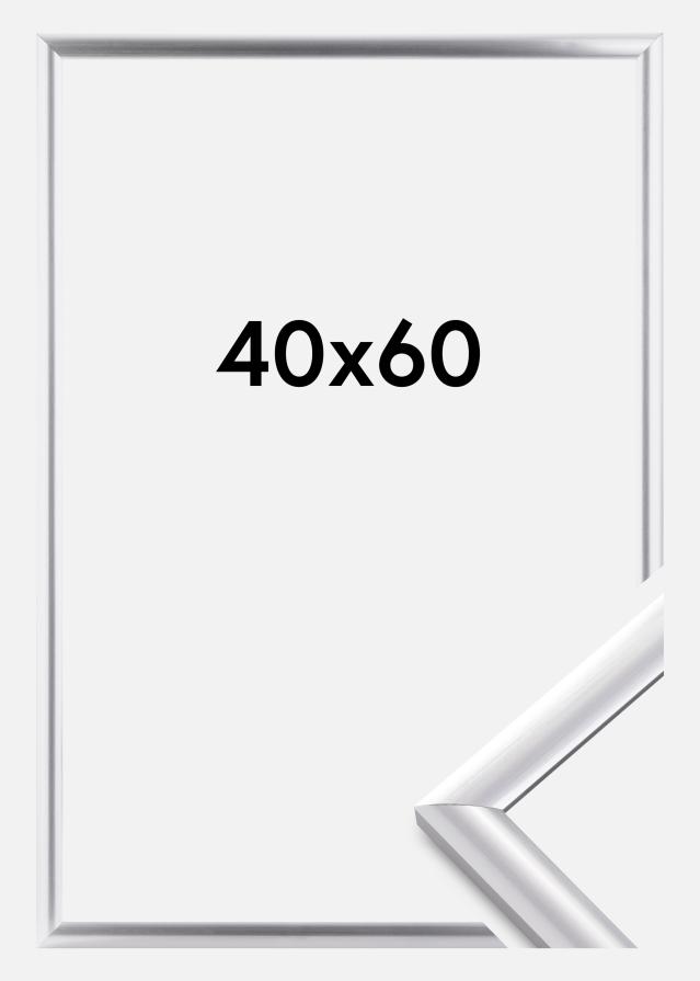 Kehys Trendstyle Hopeanvärinen 40x60 cm