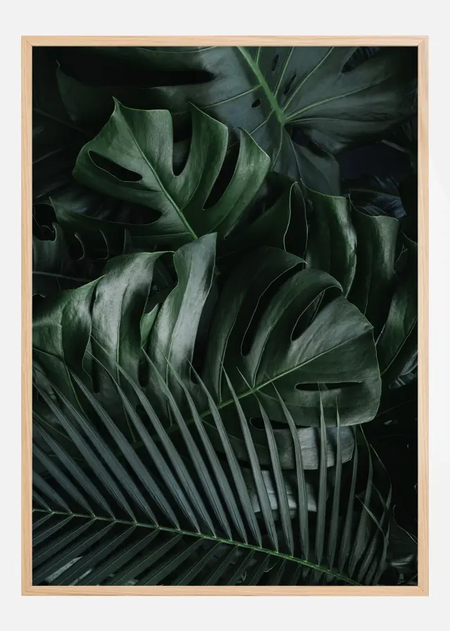 Monstera Plant II Juliste