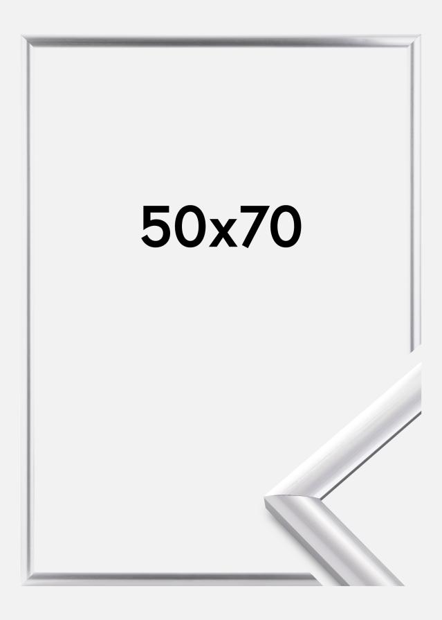 Kehys Trendstyle Hopeanvärinen 50x70 cm
