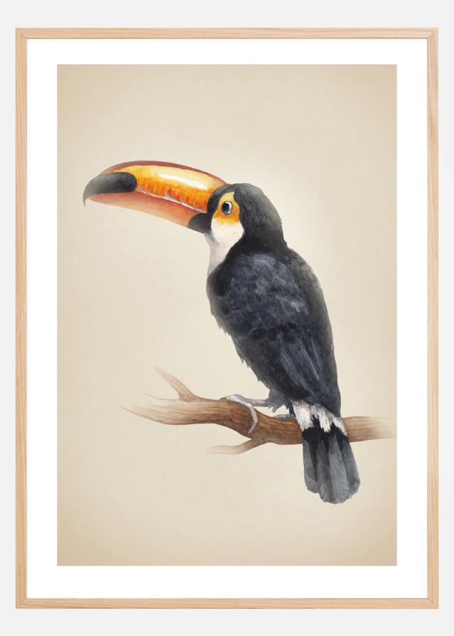 Tropical Toucan Juliste