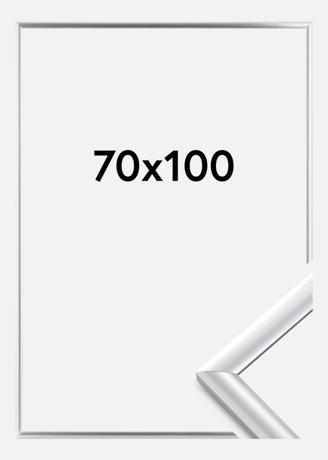 Kehys Trendstyle Hopeanvärinen 70x100 cm