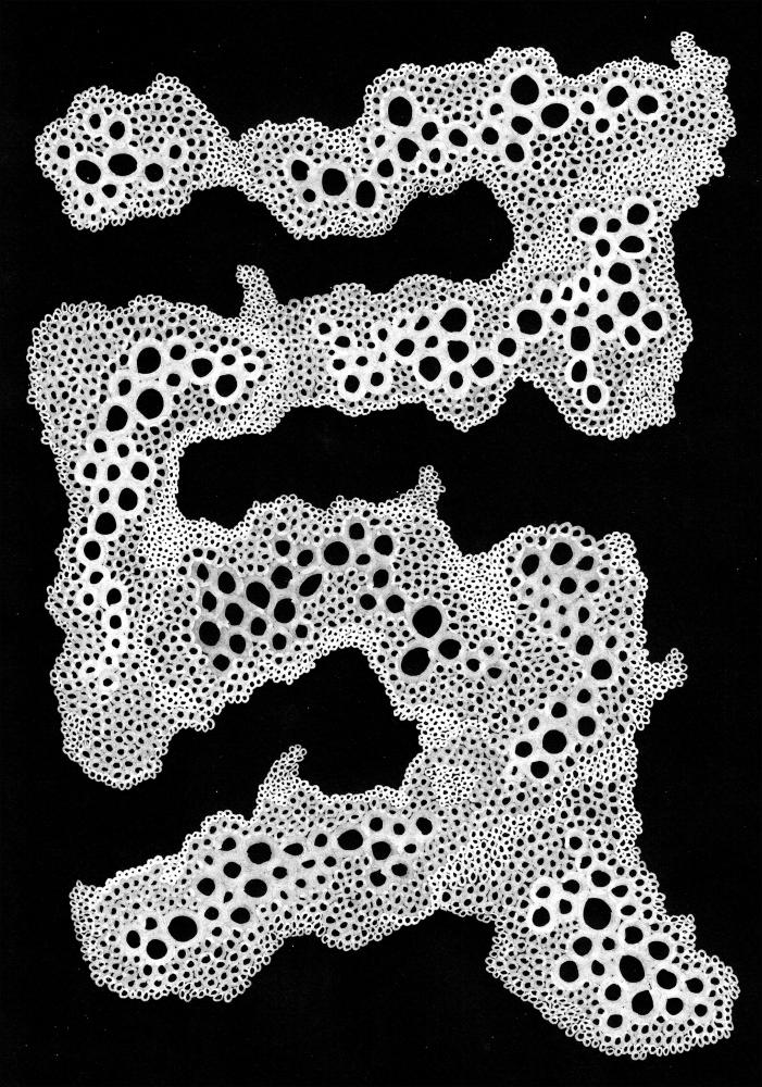 BUBBLESBLACK Juliste