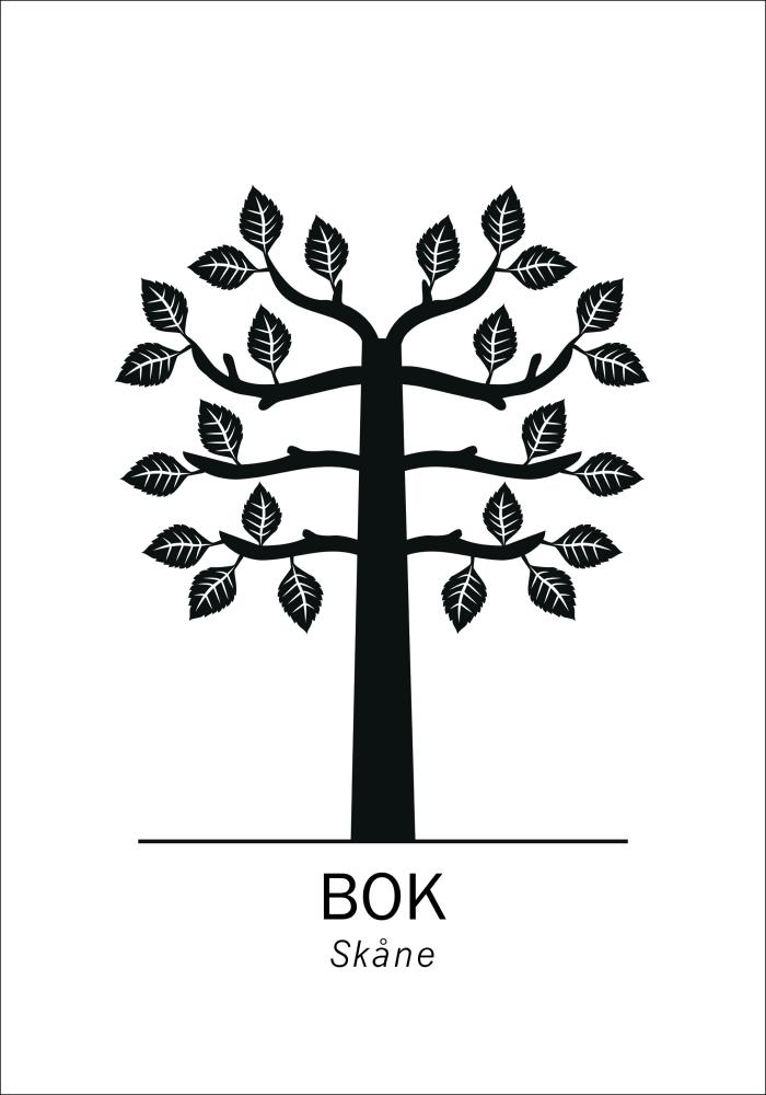 Bok - Skåne Juliste