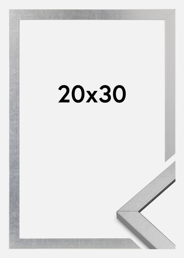 Kehys Minerva Akryylilasi Hopea 20x30 cm