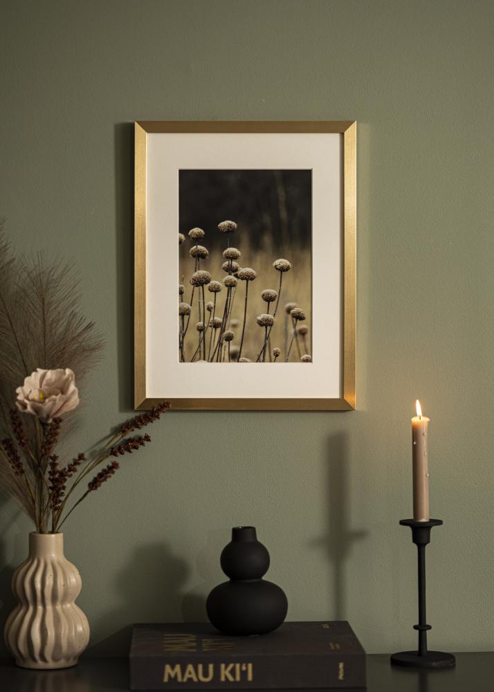 Kehys Selection Akryylilasi Kullanvärinen 21x29,7 cm (A4)