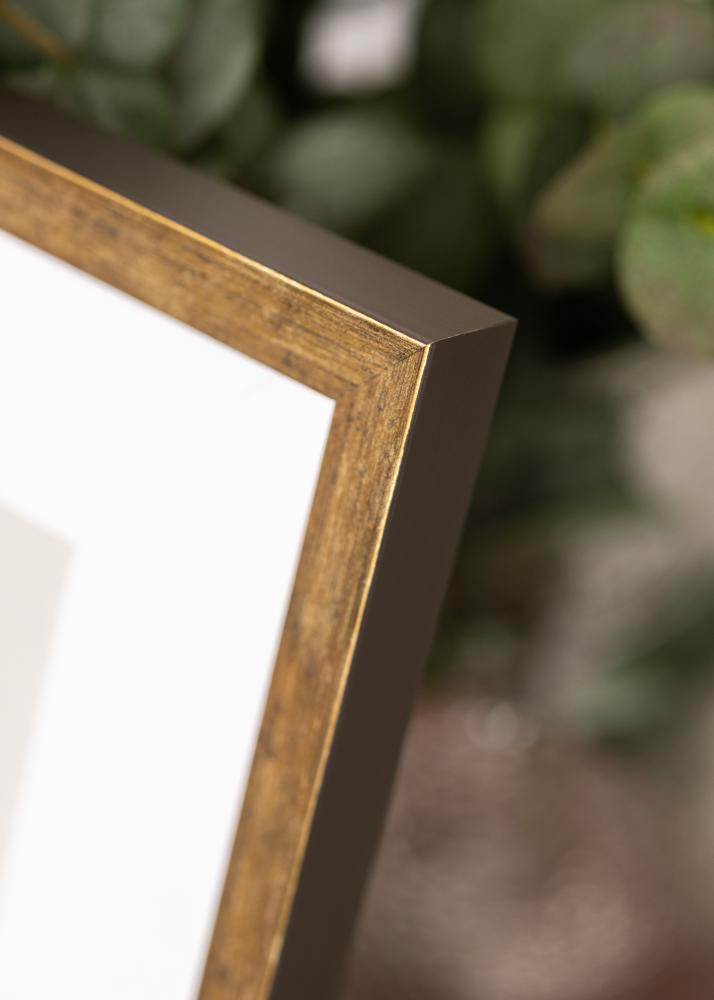 Kehys Dune Akryylilasi Kulta 21x29,7 cm (A4)