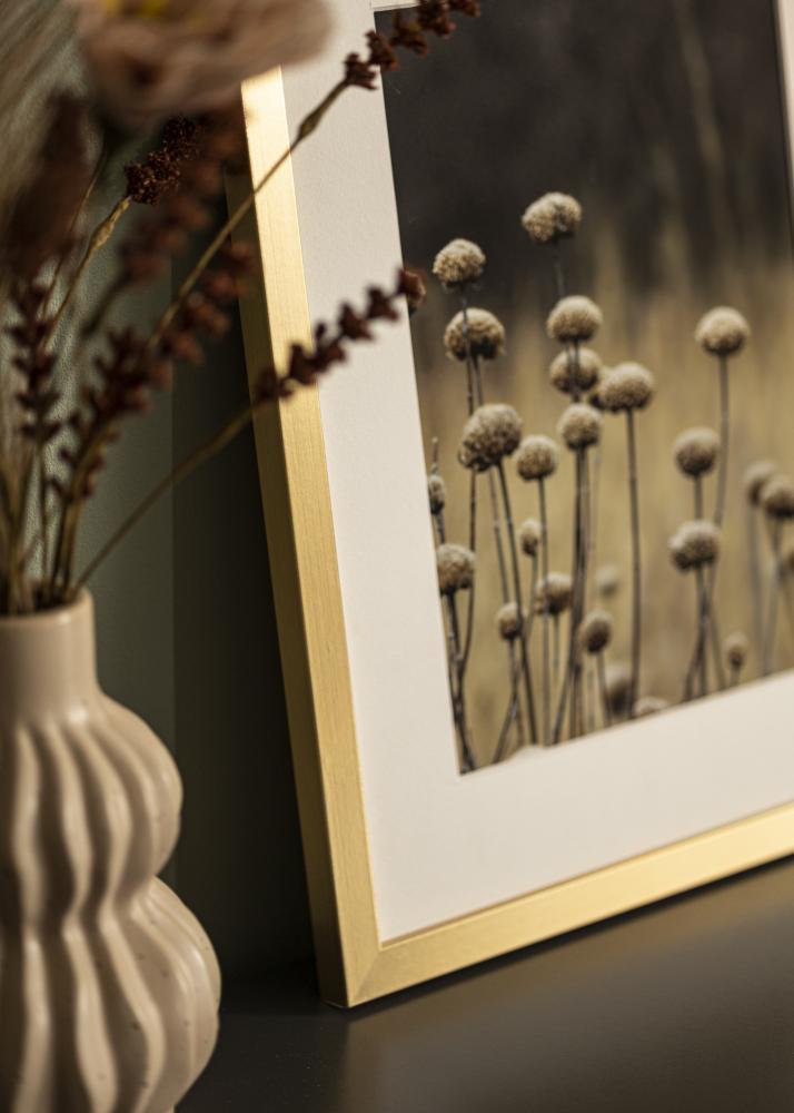 Kehys Selection Akryylilasi Kullanvärinen 21x29,7 cm (A4)