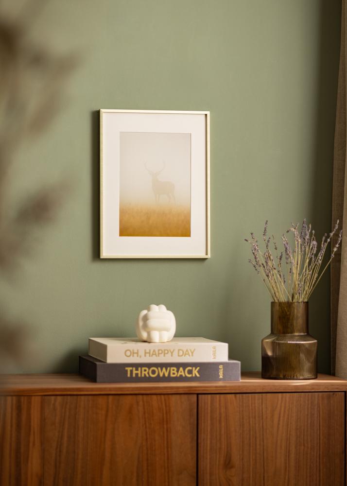 Kehys Nielsen Premium Alpha Harjattu kulta