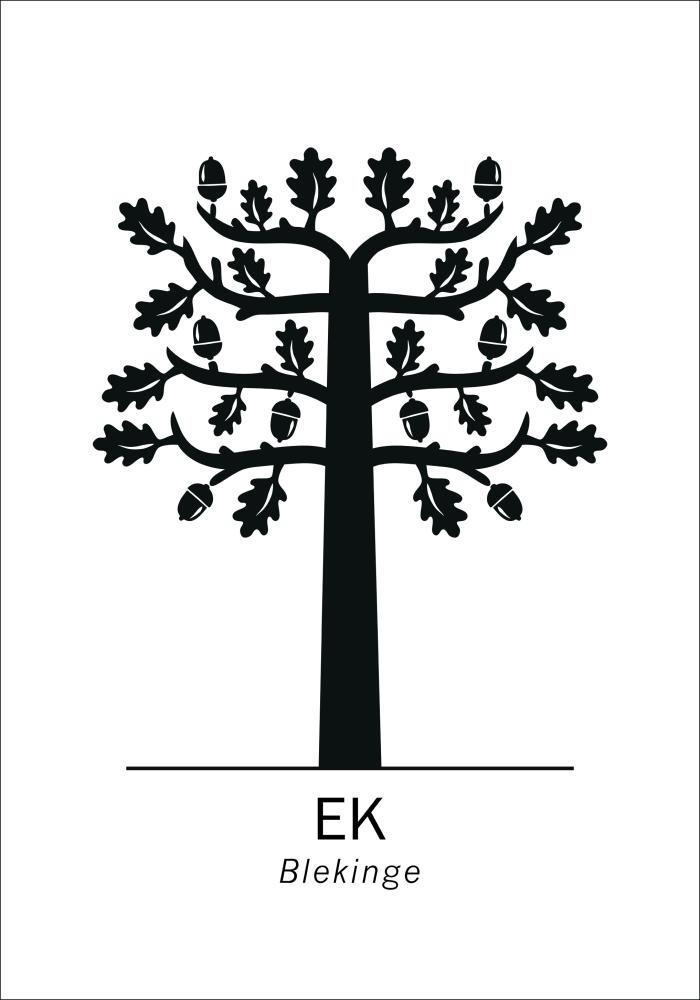 Ek - Blekinge Juliste